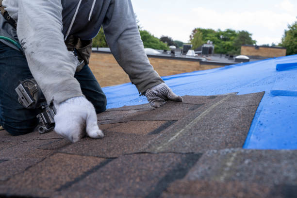 Best Roof Gutter Cleaning  in Belle Haven, VA