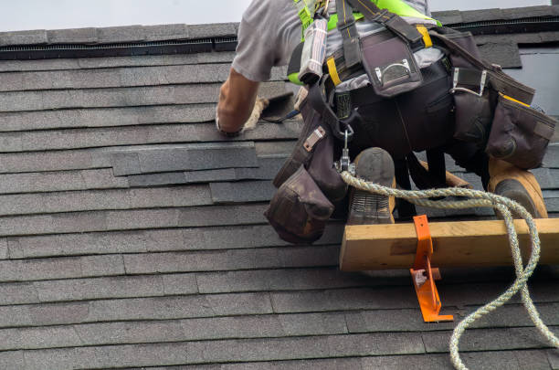 Best Gutter Installation and Roofing  in Belle Haven, VA