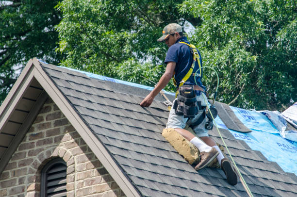 Best Storm Damage Roof Repair  in Belle Haven, VA